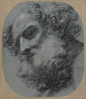 J 024
<br/>
Manskop (Evangelist Marcus)
<br/>
<em>Domenichino (1581-1641)</em>